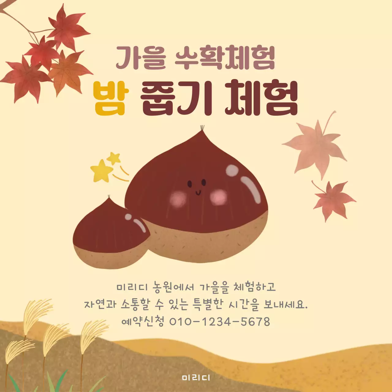 베이지 아기자기한 체험 모집