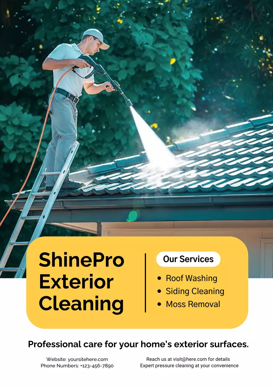 Green Professional Cleaning Advertisement Poster