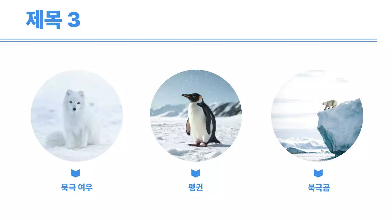 파랑 깔끔 기획 회의 자료