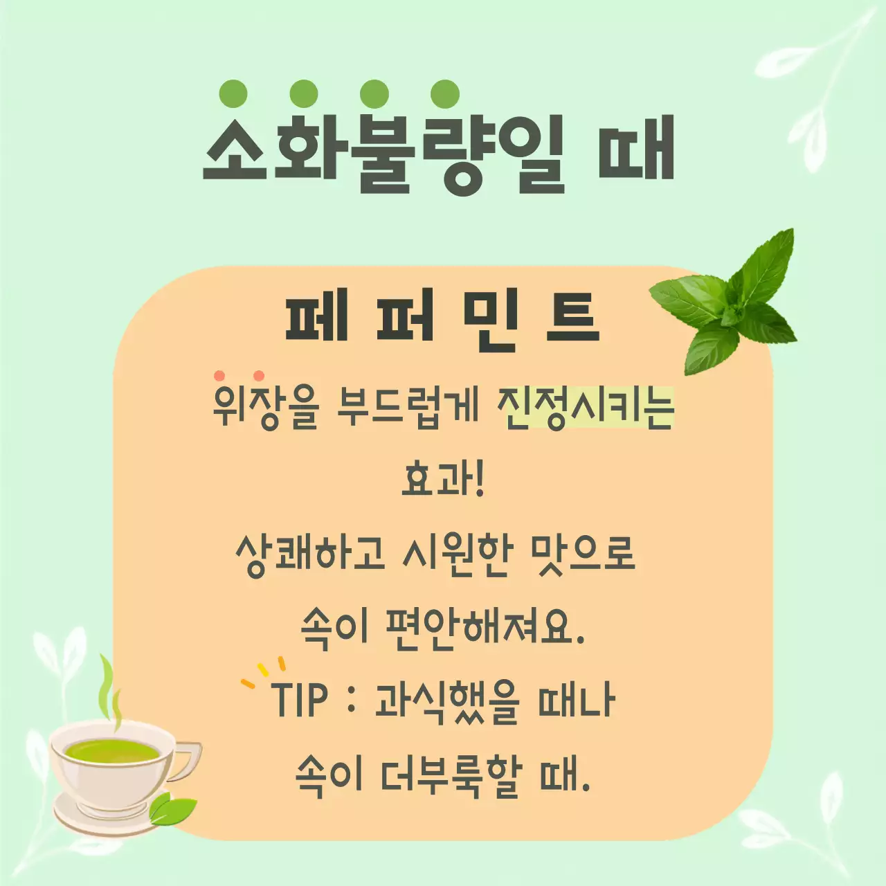 민트 아기자기한 건강차 안내
