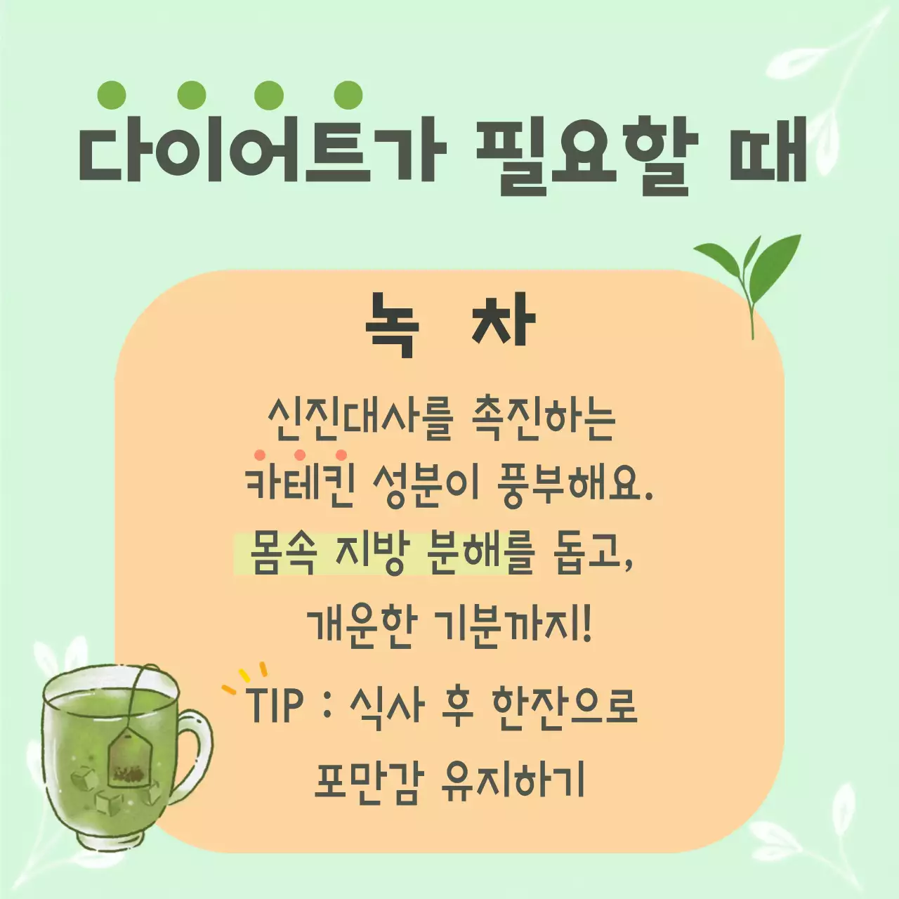 민트 아기자기한 건강차 안내