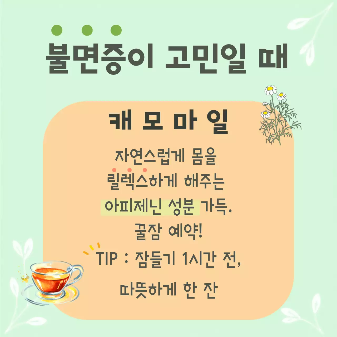 민트 아기자기한 건강차 안내