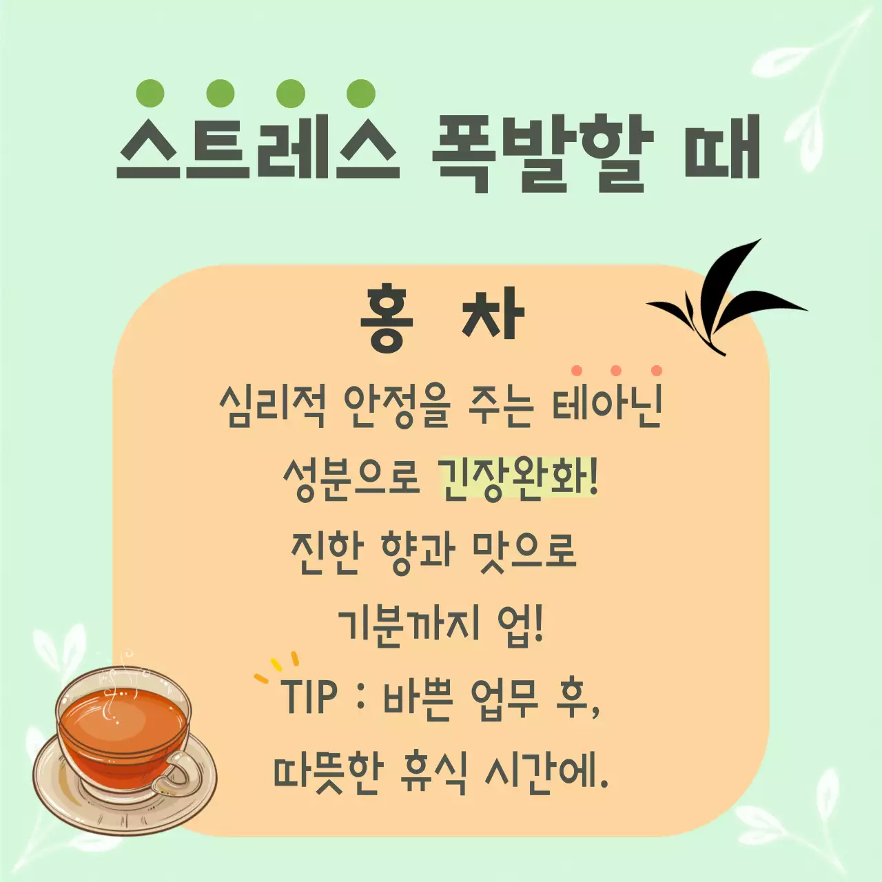 민트 아기자기한 건강차 안내