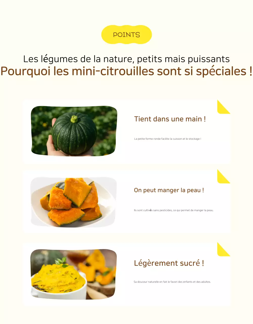 Page de détails des produits agricoles simples jaunes