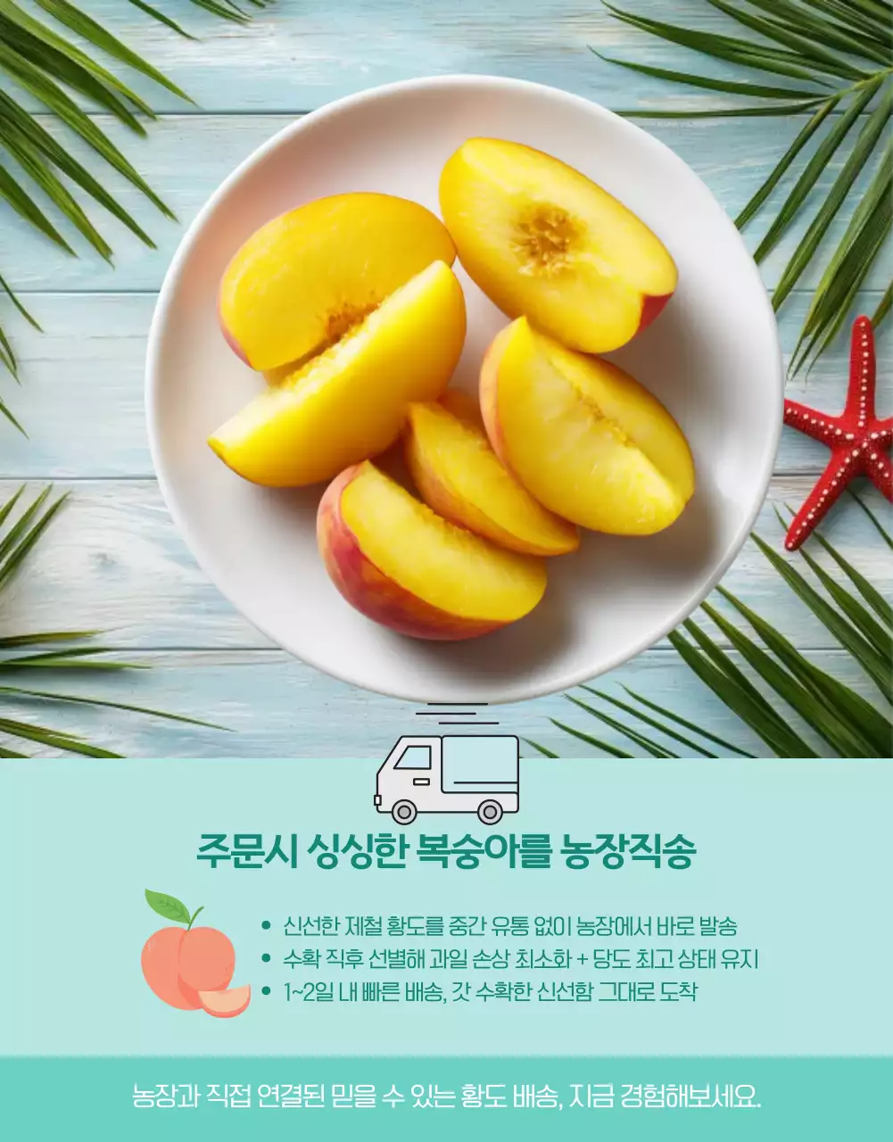 노란색 살구색 귀여운 황도 복숭아 여름과일 홍보