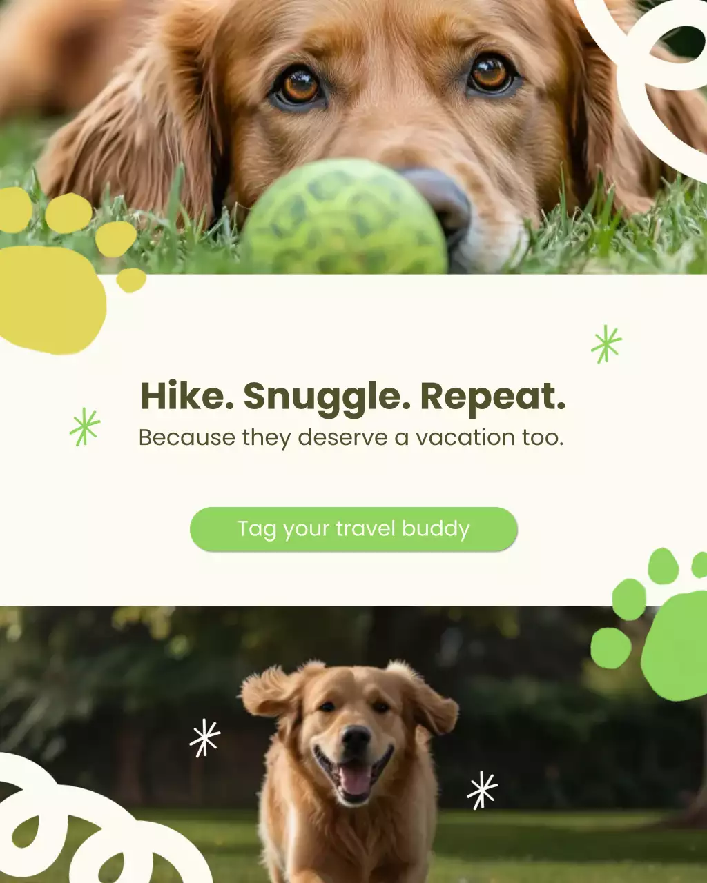 Green Playful Pet Travel Advertisement Instagram Post