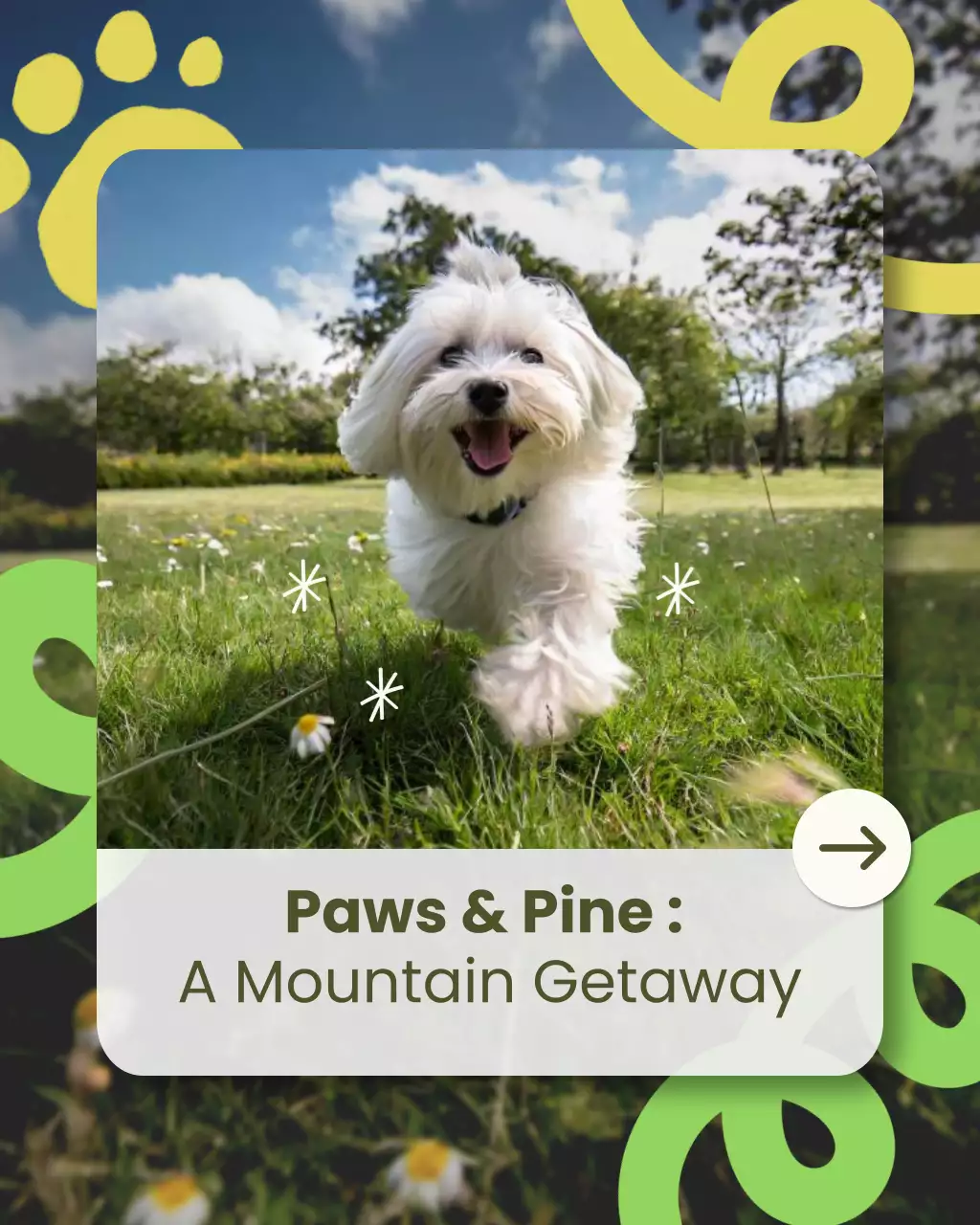 Green Playful Pet Travel Advertisement Instagram Post