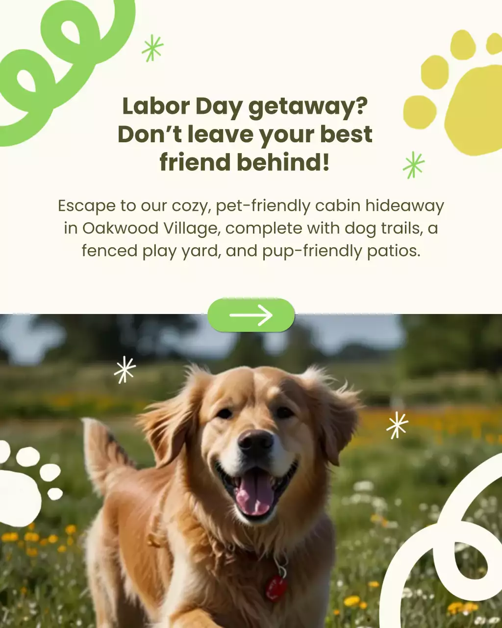 Green Playful Pet Travel Advertisement Instagram Post