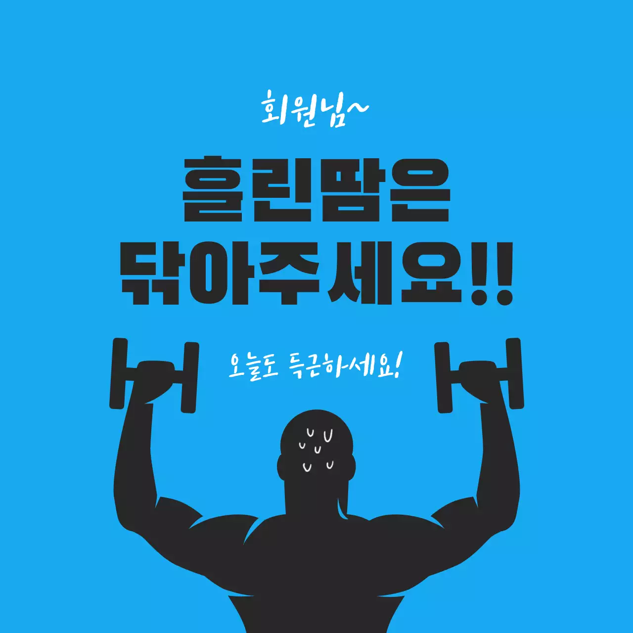 파랑 모던 운동 안내