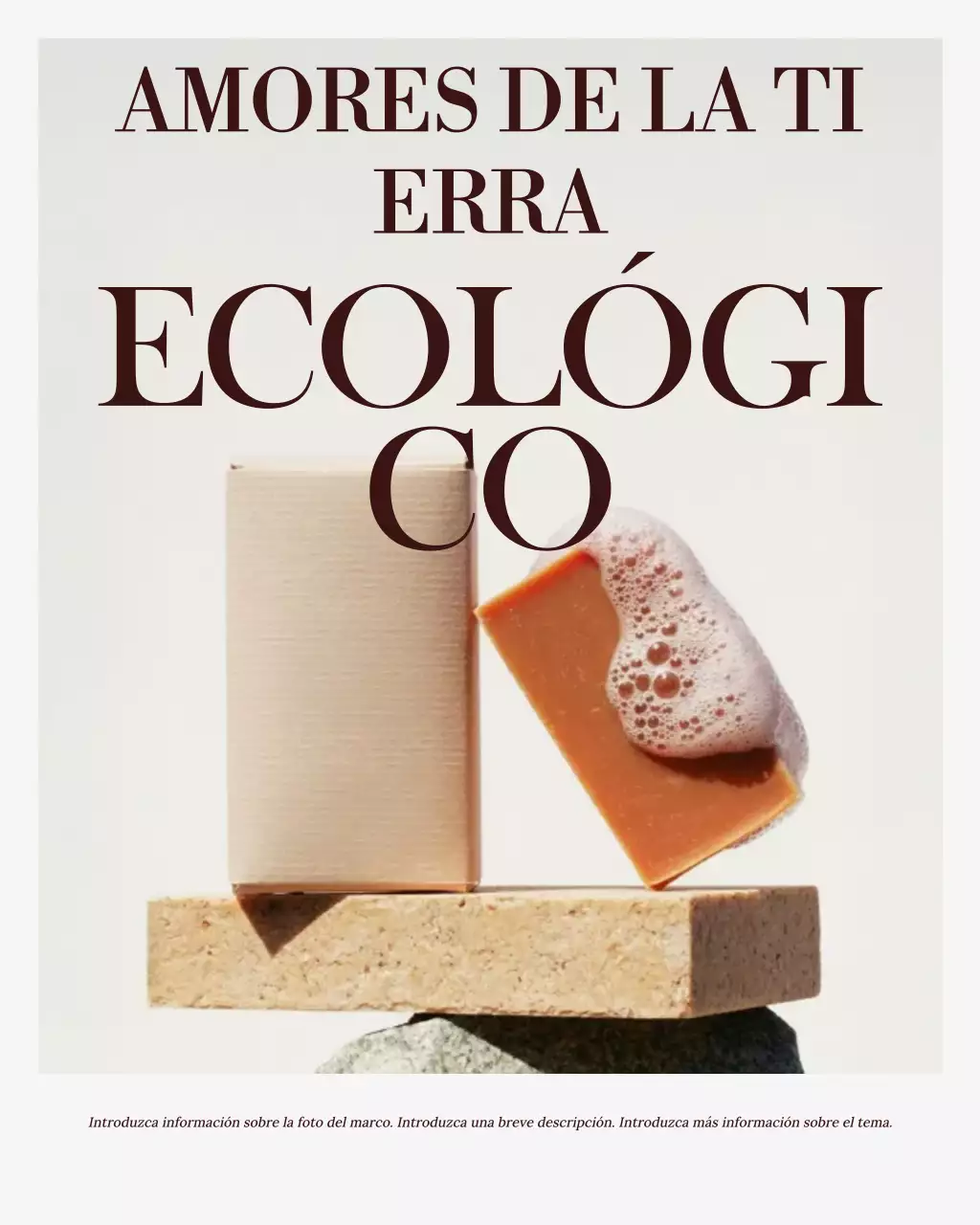 Promoción de Sostenibilidad Beige Simple