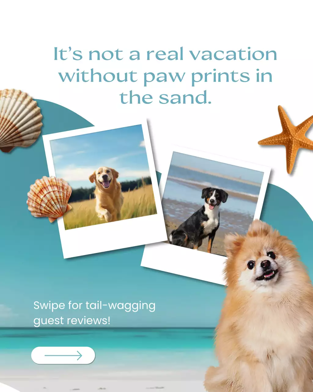 Blue Tropical Pet Outdoor Activities Advertisement Instagram Post