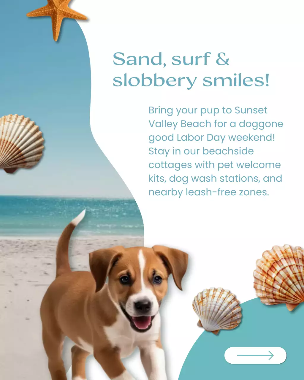 Blue Tropical Pet Outdoor Activities Advertisement Instagram Post