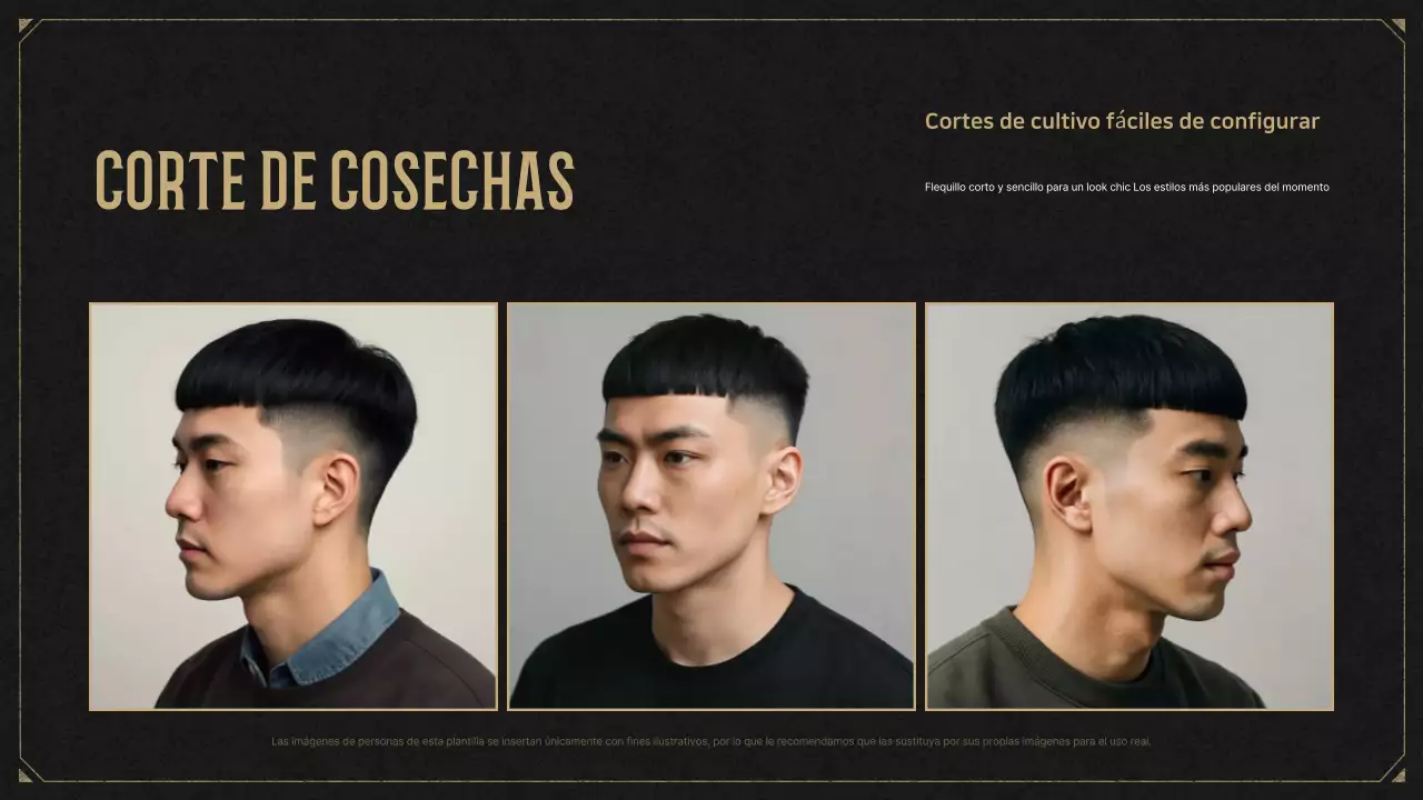 Anuncio de peinado vintage negro