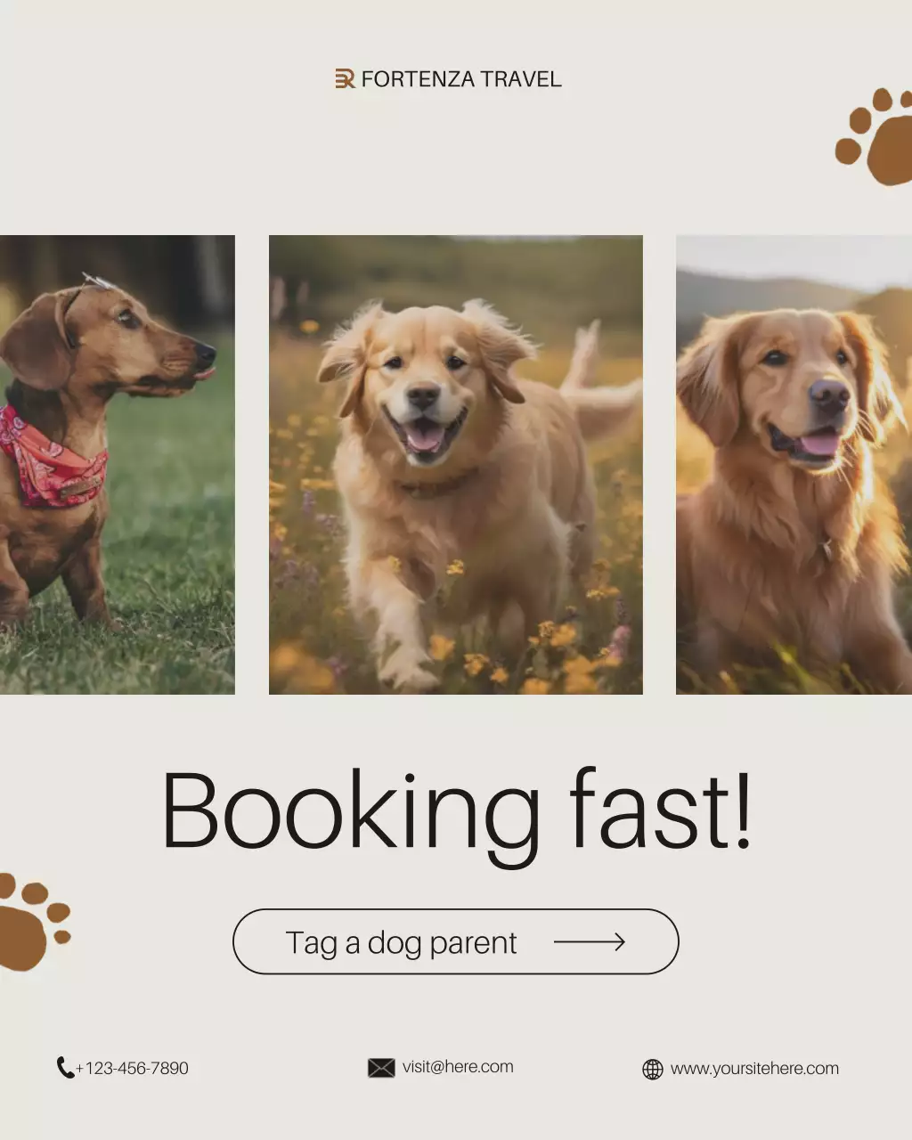 Beige Modern Pet Travel Advertisement Instagram Post