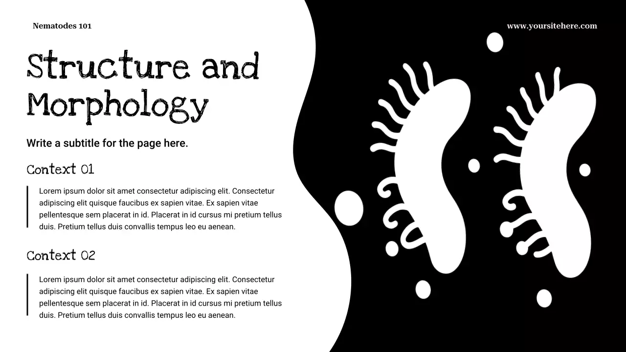 Black Minimalist Biology Presentation