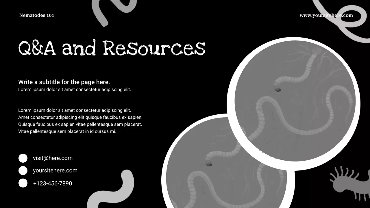 Black Minimalist Biology Presentation