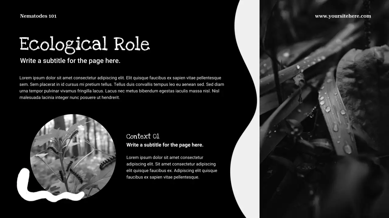 Black Minimalist Biology Presentation