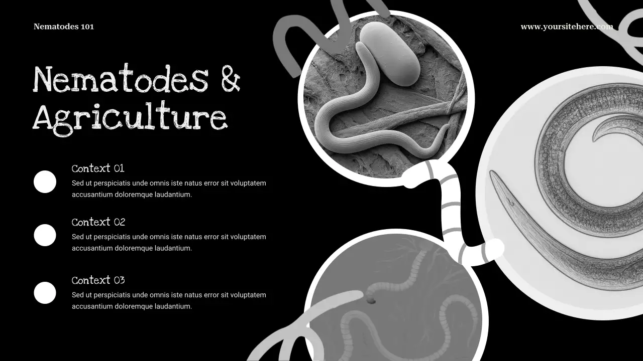 Black Minimalist Biology Presentation