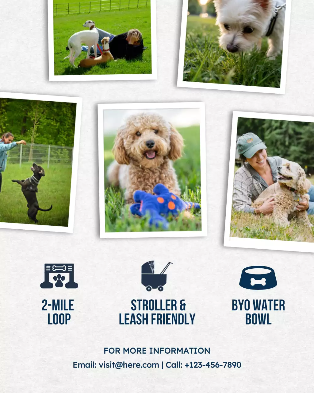 Blue Modern Pet Event Announcement Instagram Post