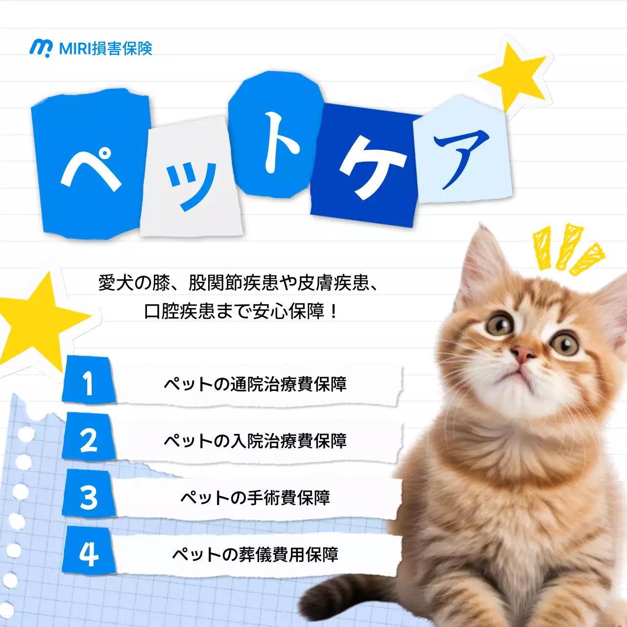 青 かわいい ペット 広告