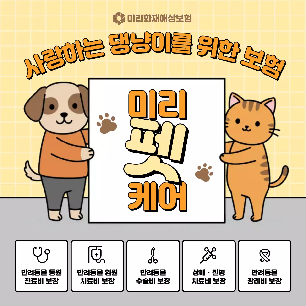 주황 아기자기한 반려동물 보험 홍보