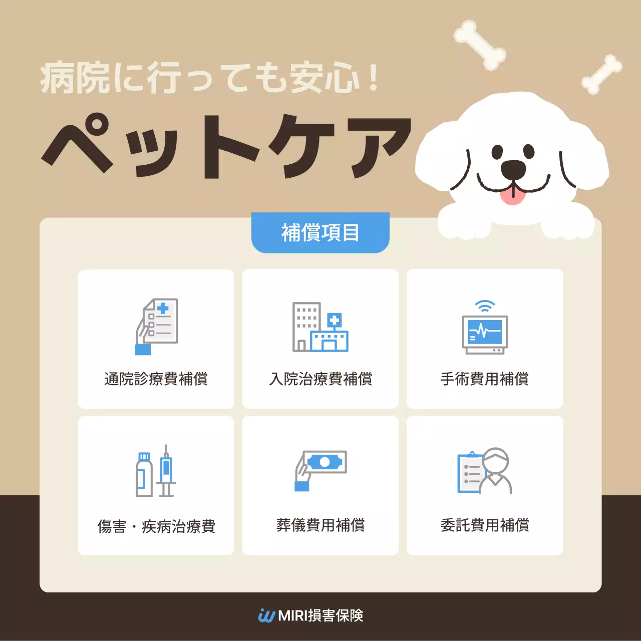 ベージュ かわいい ペット パンフレット