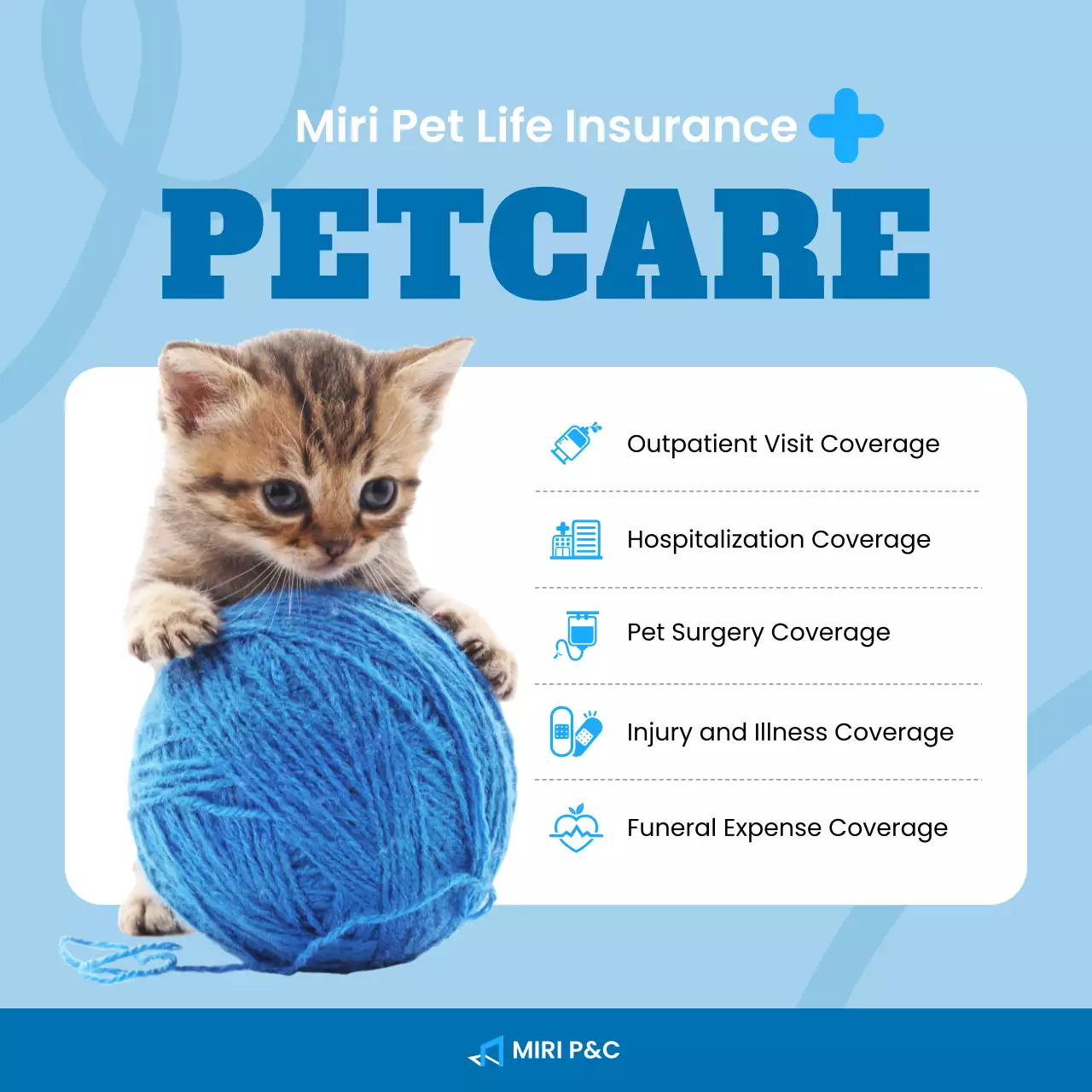 quảng cáo chăm sóc thú cưng hiện đại màu xanh