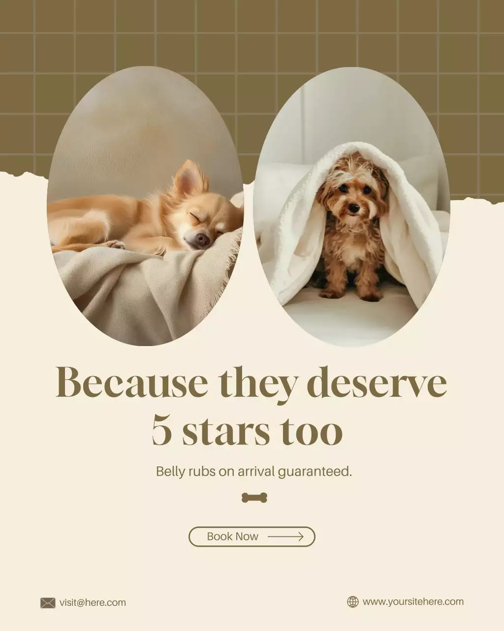 Beige and Brown Elegant Pet Hotel Promotion Instagram Post