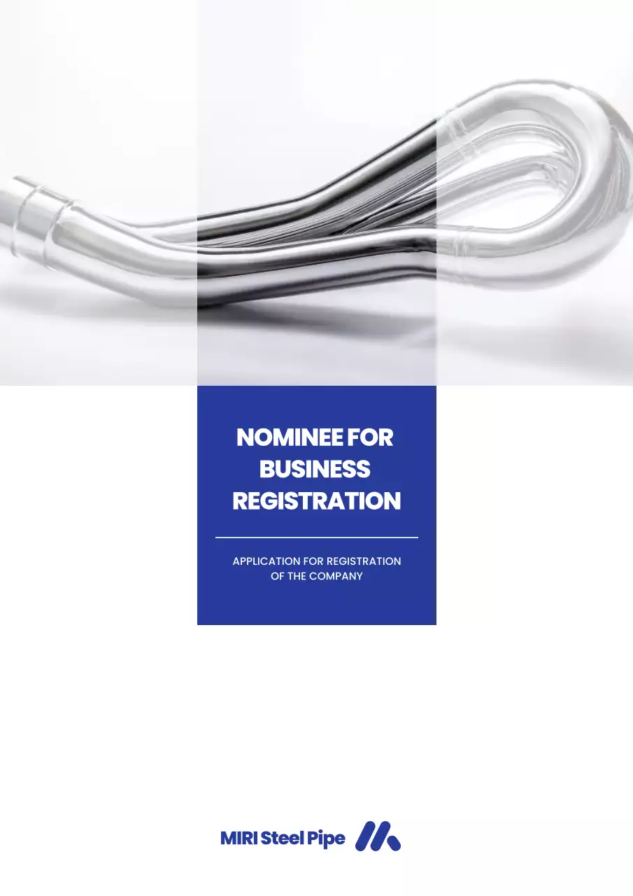 silver modern business registration document