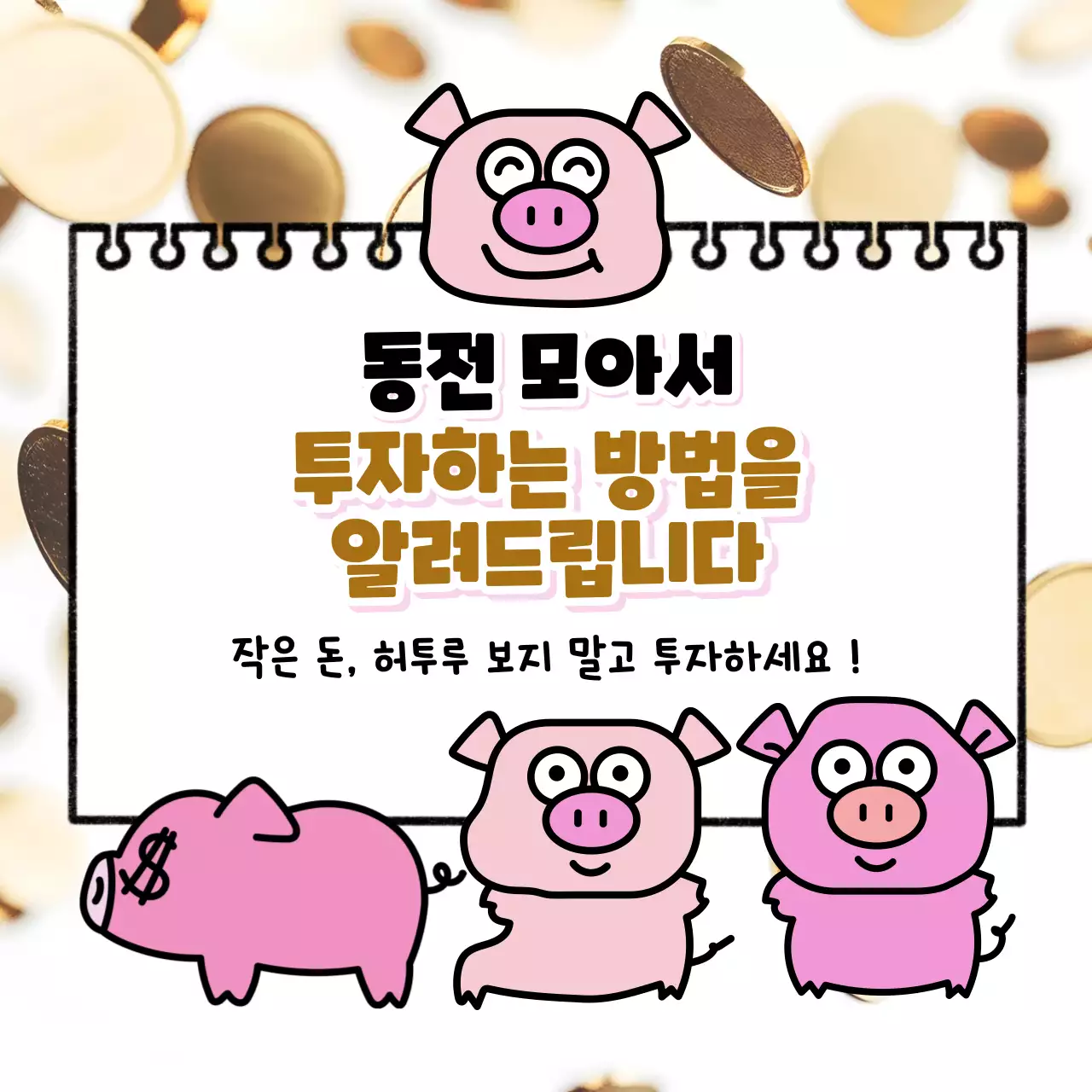 핑크 개그 투자 안내