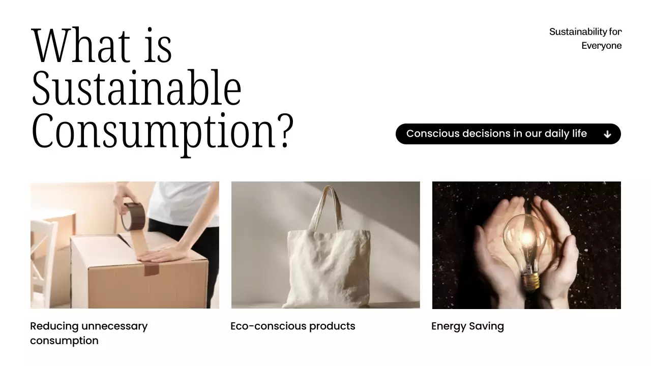 White Modern Sustainability Lecture Presentation