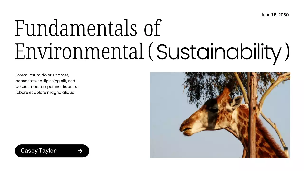 White Modern Sustainability Lecture Presentation