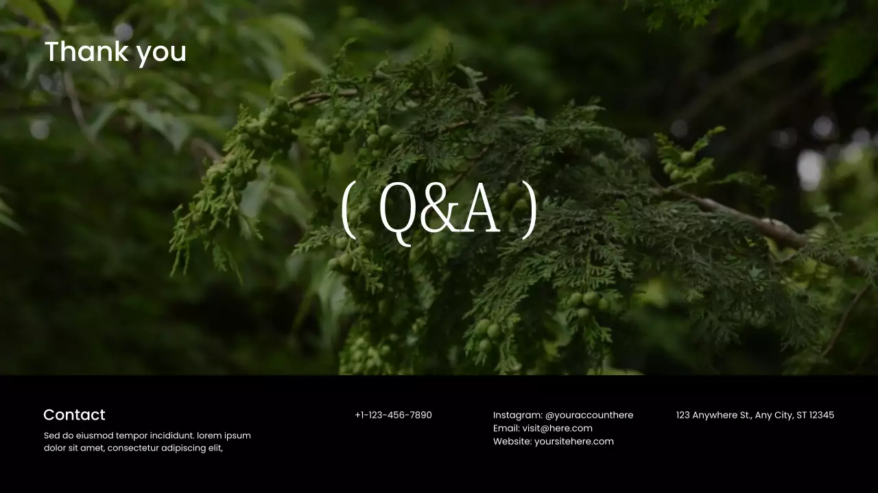 White Modern Sustainability Lecture Presentation