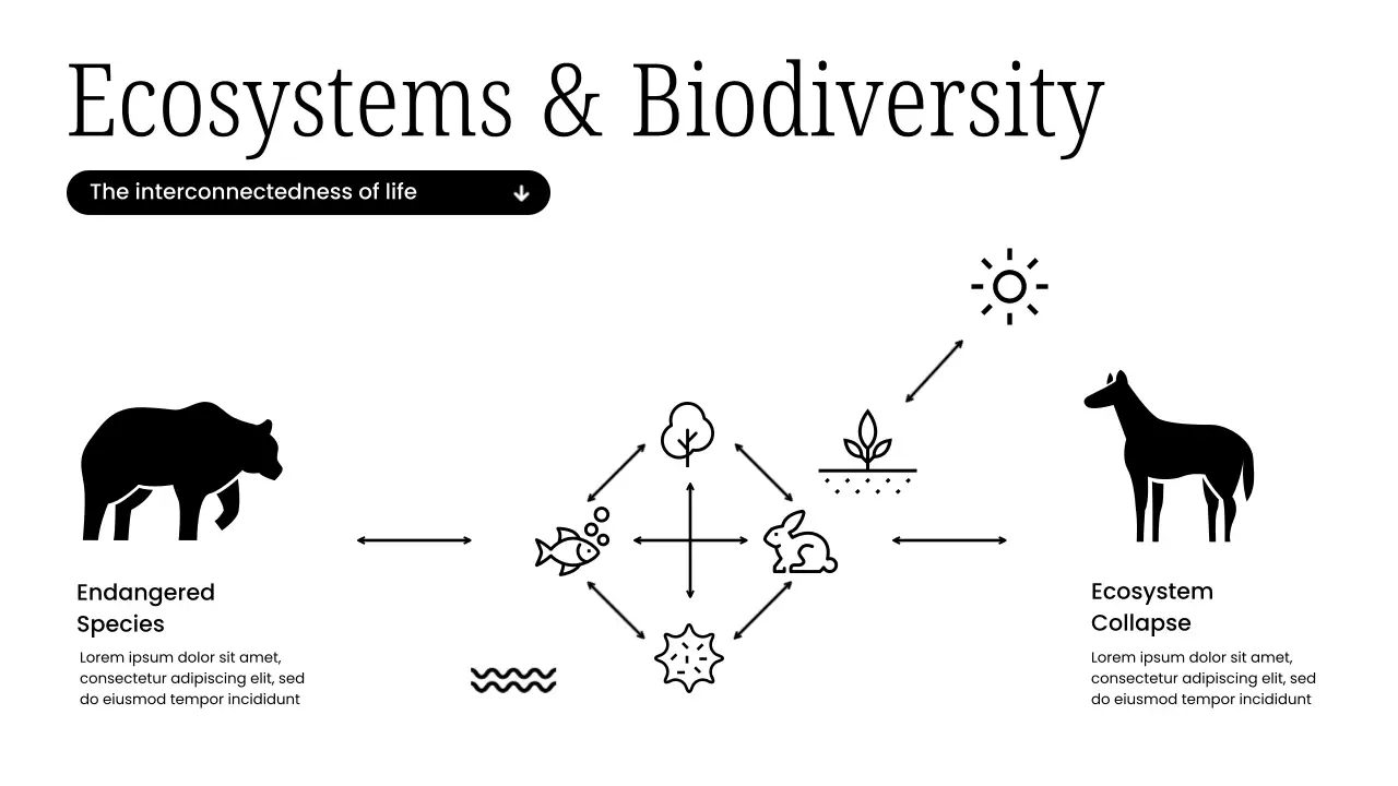 White Modern Sustainability Lecture Presentation