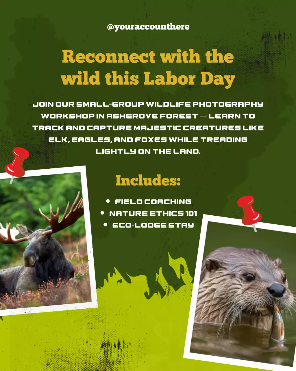 Mẫu mạng xã hội cho buổi hội thảo ảnh Ngày Lao động "Mắt Xanh Trên Hoang Dã"