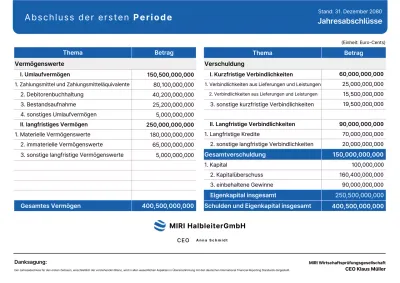Blue Clean Finanzbericht Finanzbericht Informationslieferung