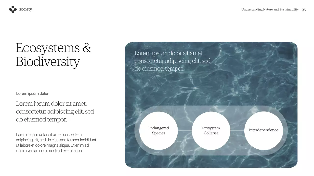 Green Minimal Sustainability Guide Presentation