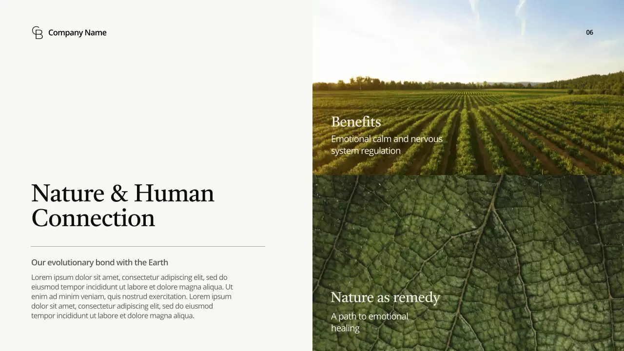 Bài thuyết trình về Hướng dẫn Khí hậu Hiện đại Xanh