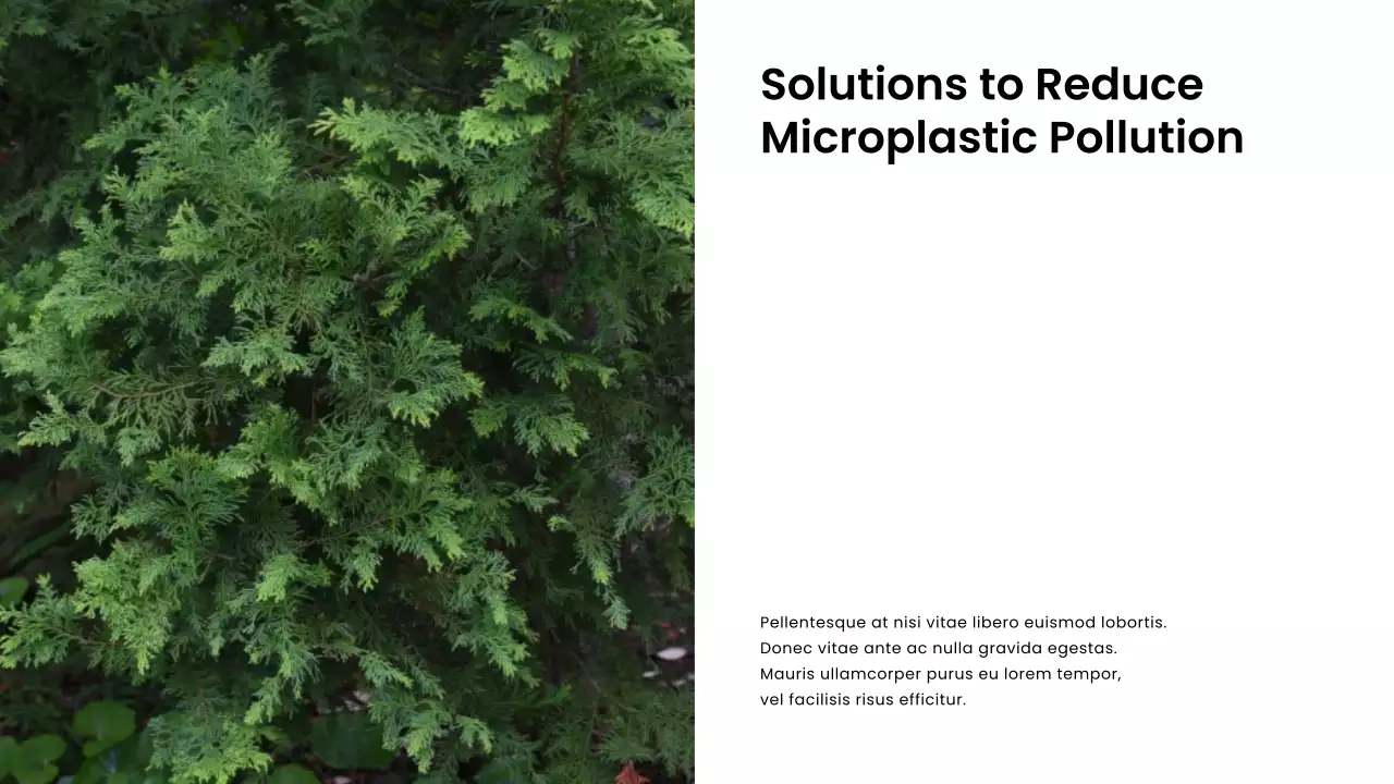 White Modern Environmental Guide Presentation