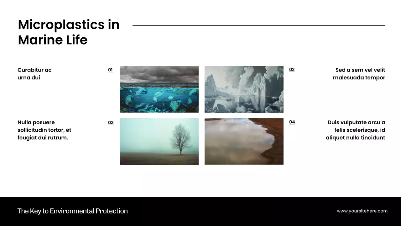 White Modern Environmental Guide Presentation