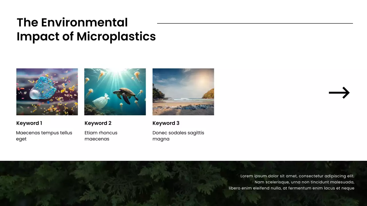 White Modern Environmental Guide Presentation