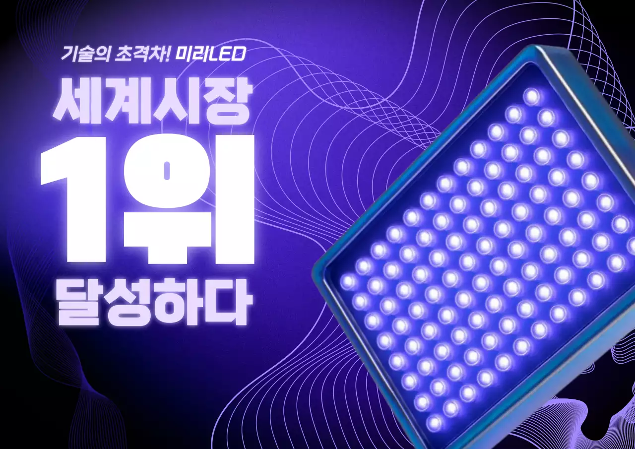 보라 세련 조명 광고