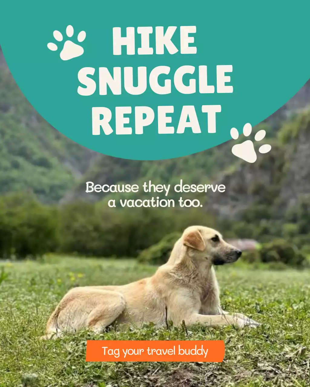 Green Rustic Pet Advertisement Instagram Post