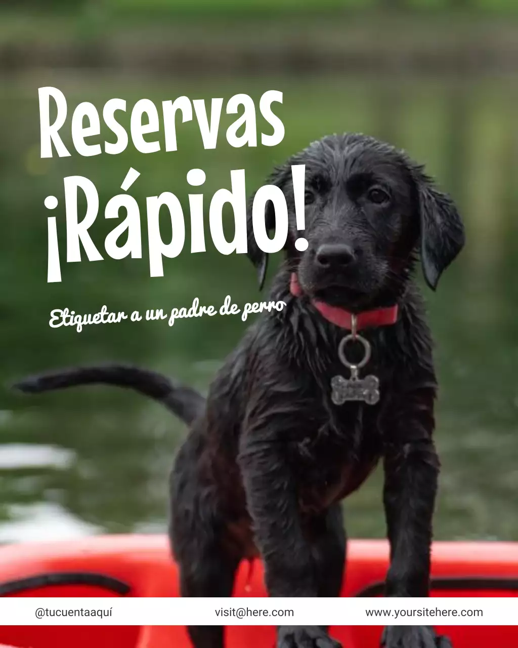 Publicación de Instagram de un anuncio de viajes amarillo y divertido