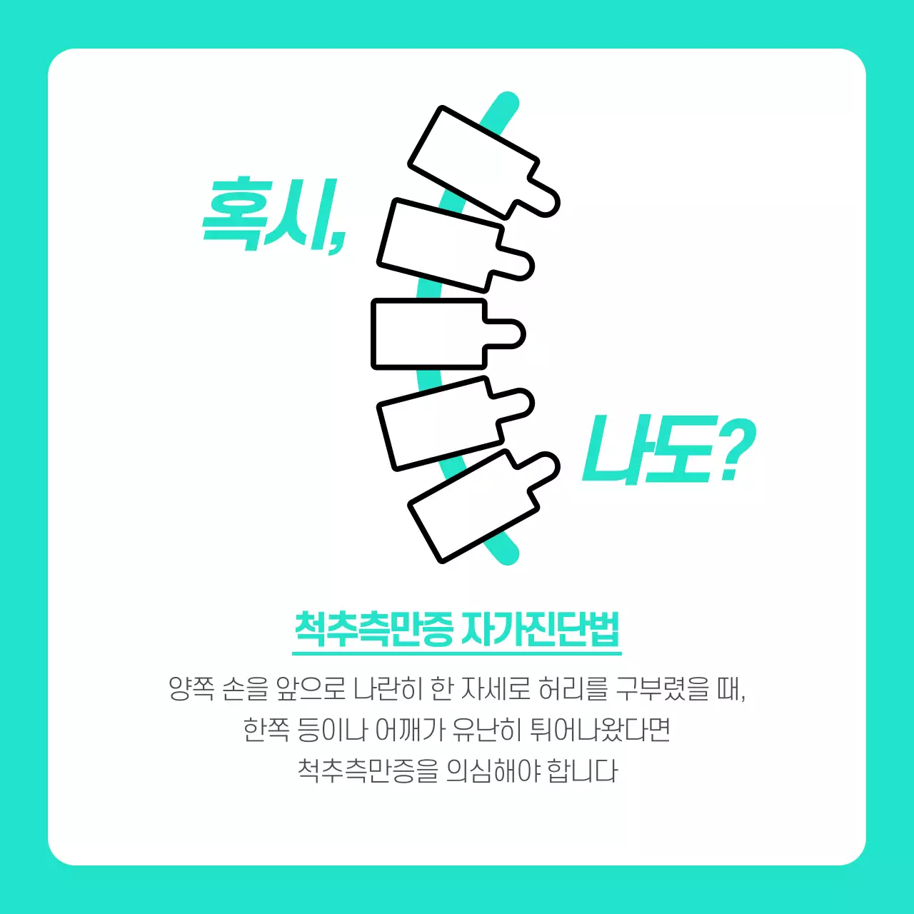 정형외과 척추 병원 안내