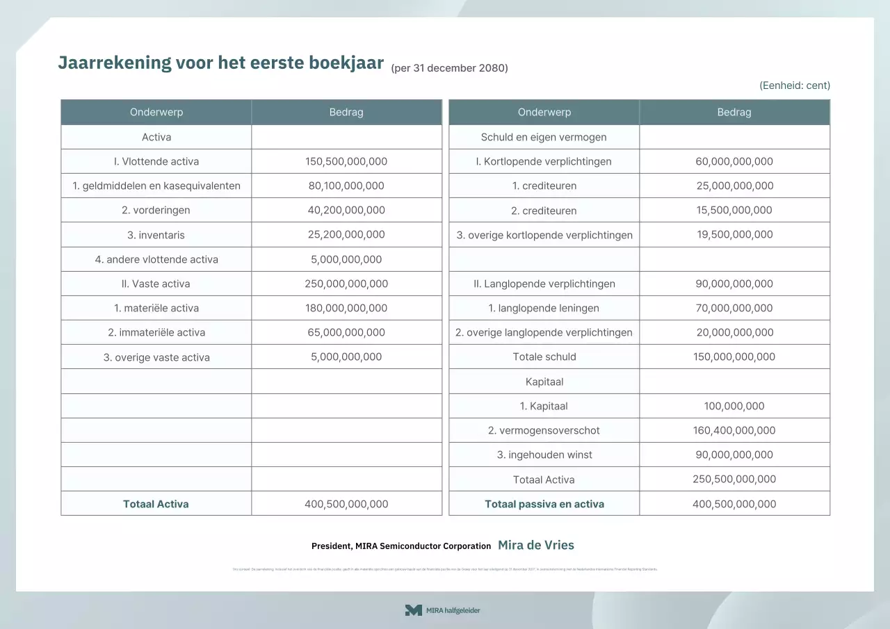 Gray Clean Financieel Overzichtsrapport