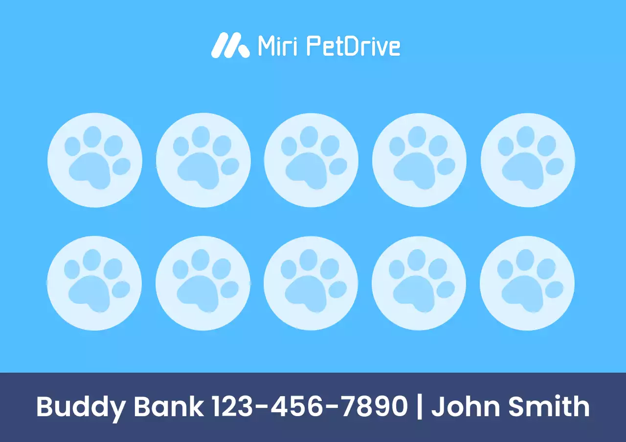 blue modern pet promotion