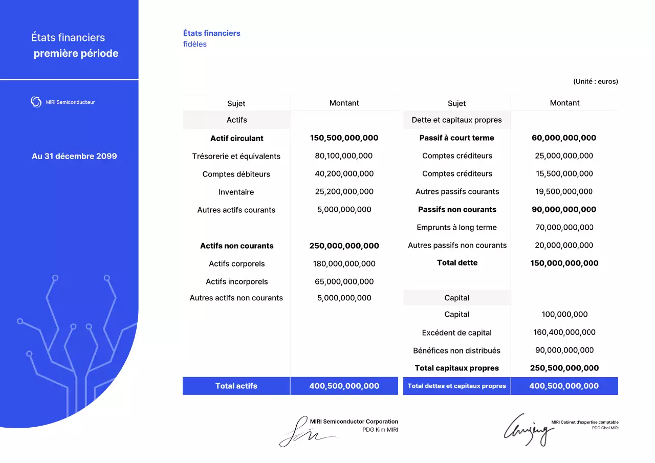 Description du rapport financier moderne bleu