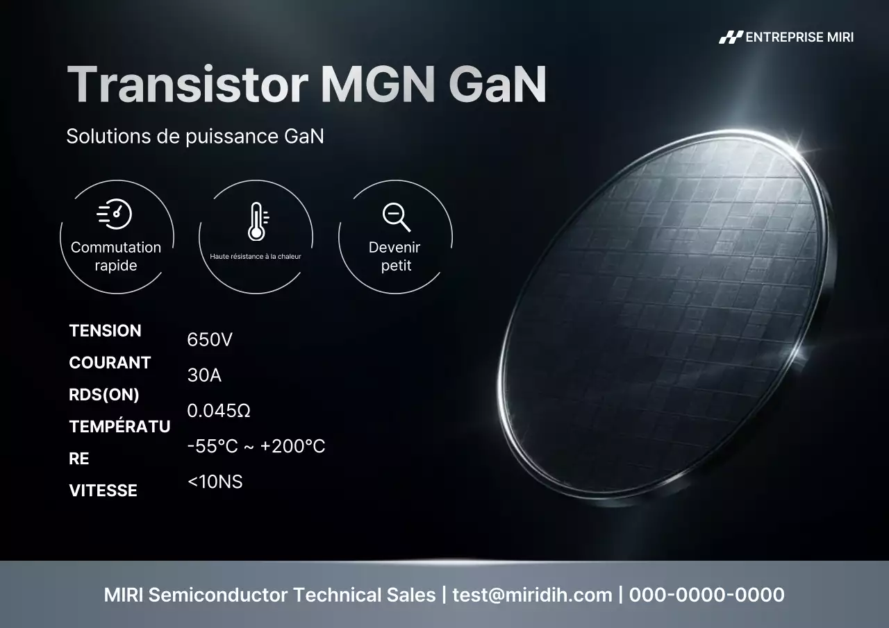 Présentation des produits Black Modern Semiconductor