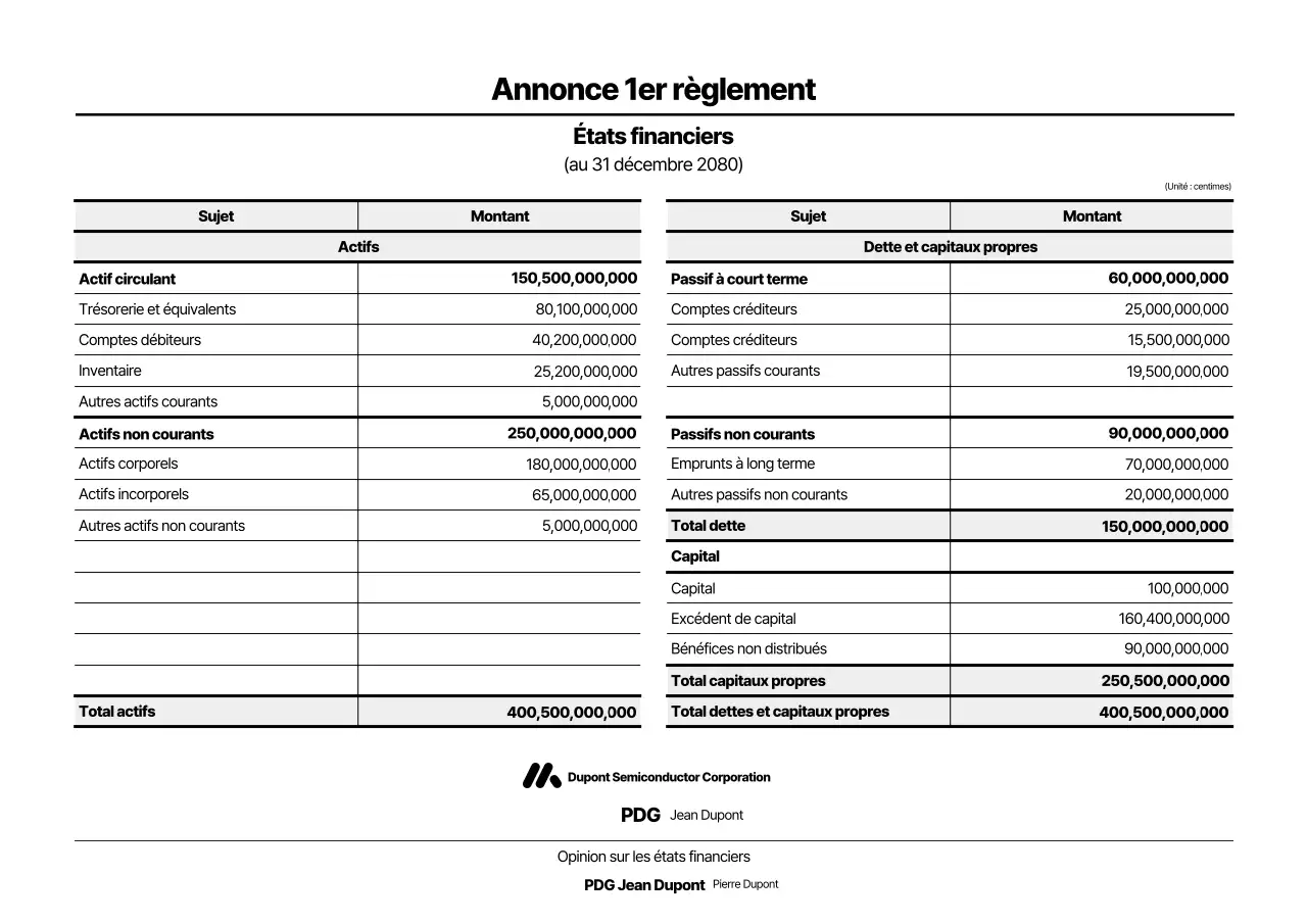 Déclaration de base des états financiers noirs